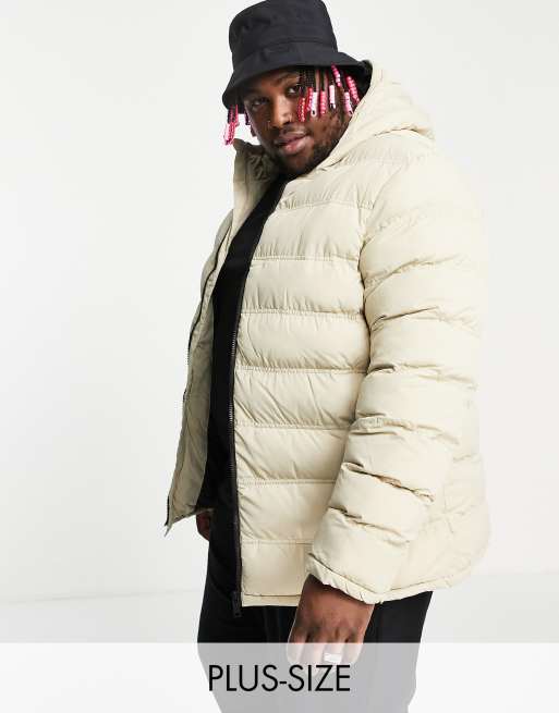 Asos plus size winter 2024 coats