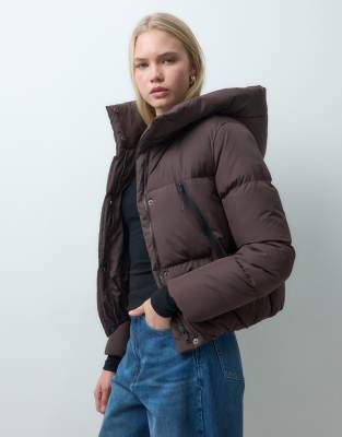 Hooded 2