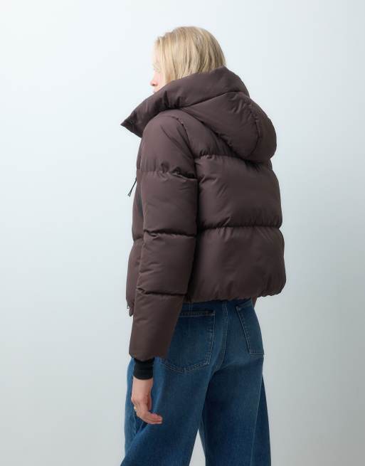 Threadbare short puffer jacket with hood in brown, 4 of 4