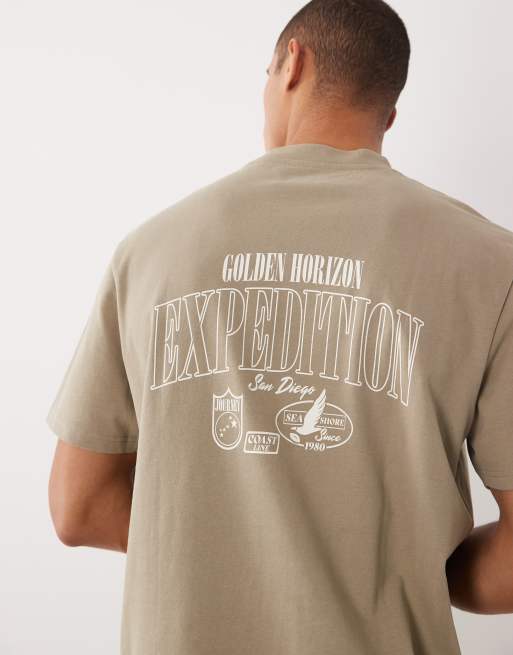 Threadbare - T-shirt a maniche corte color pietra con stampa grafica sul retro 