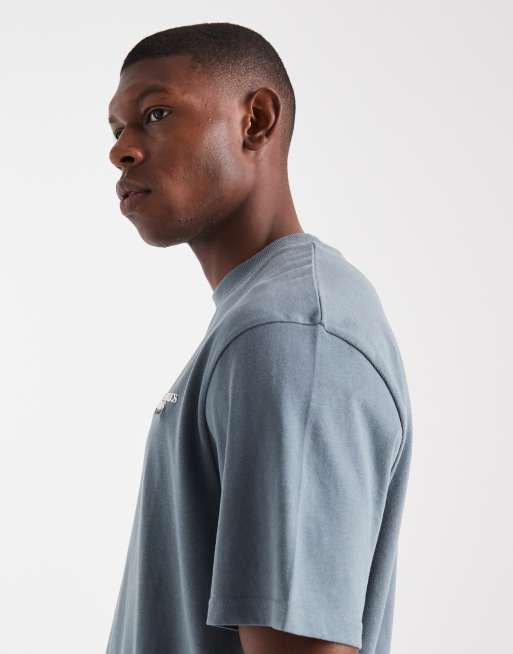 Threadbare - T-shirt comoda grigio slavato con grafica, 4 di 5