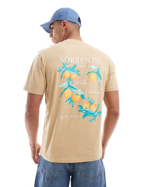 Threadbare – T-Shirt in Steinbeige mit „Sorrento“-Rückenprint 