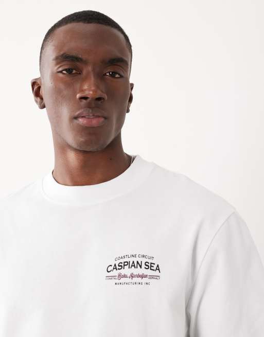 Threadbare – T-Shirt mit „Caspian Sea“-Rückenprint, 2 von 5