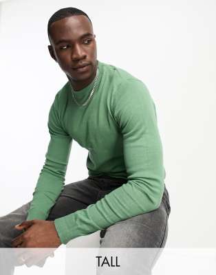 Tall cotton crew neck sweater in wavellite-Green