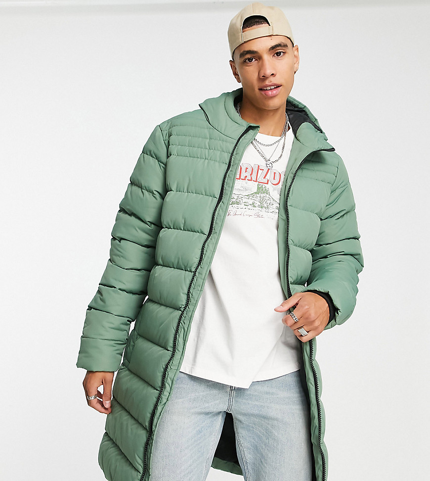 THREADBARE TALL LONGLINE PUFFER JACKET WITH HOOD IN PALE GREEN