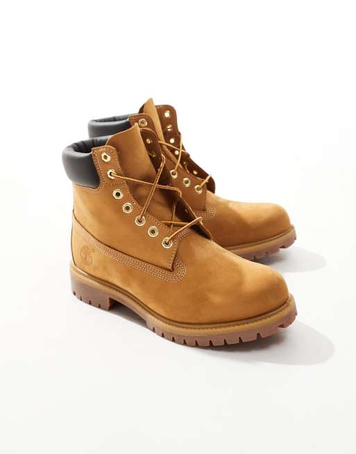 Timberland 6 inch lace up waterproof boot in wheat