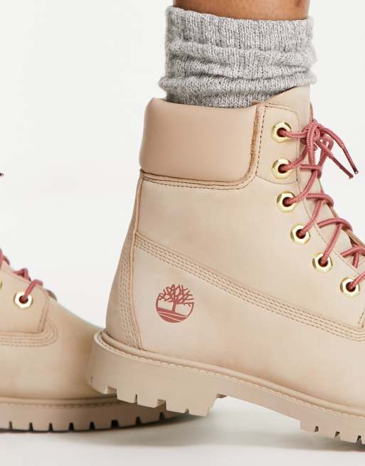 Light in the clearance timberlands