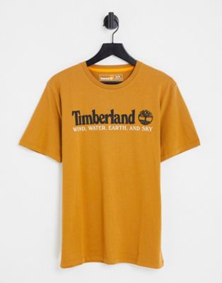 Timberland Core front graphic logo t-shirt in orange