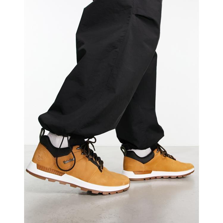 Baskets timberland shop homme