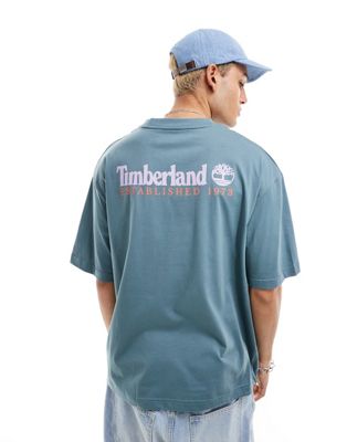 Timberland large script logo back print oversized t-shirt in blue Exclusive to Asos