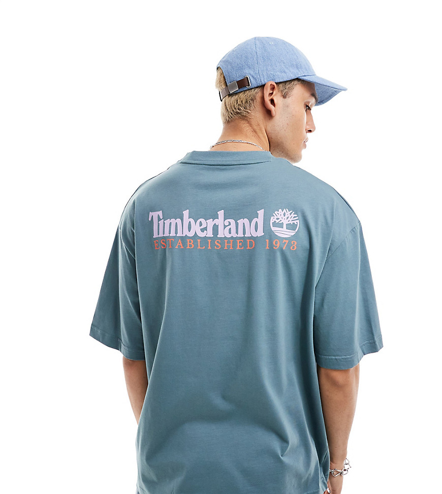 Timberland large script logo back print oversized t-shirt in blue Exclusive to Asos-Grey
