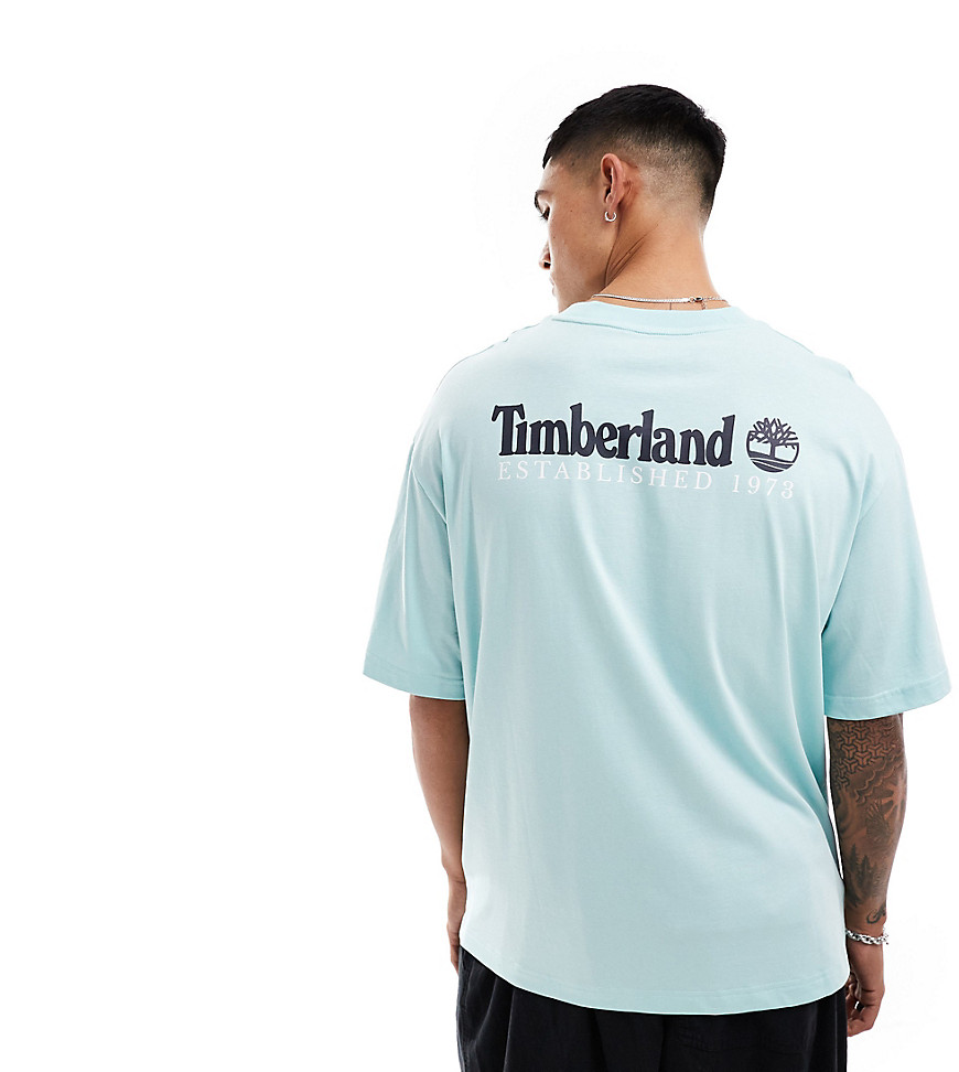 Timberland large script logo back print oversized t-shirt in light blue