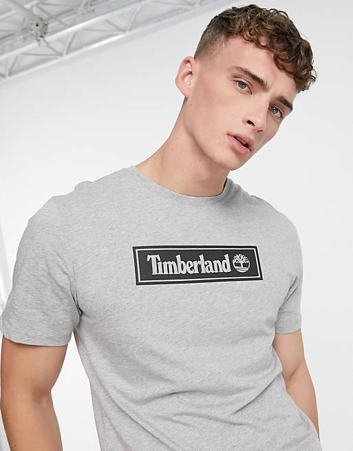 Timberland Linear Logo t-shirt in grey 