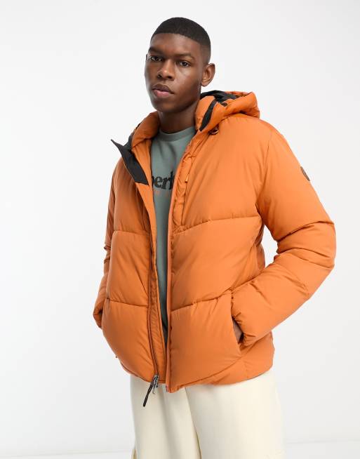 Warmest quilted clearance jacket