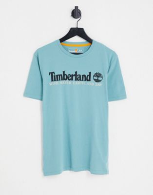 Timberland New Core front graphic t-shirt in blue