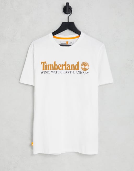 Timberland New Core front graphic t-shirt in white  