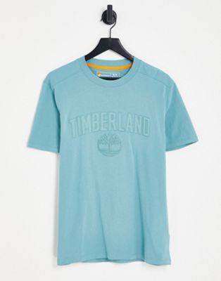 Timberland Outdoor Heritage EK graphic t-shirt in blue