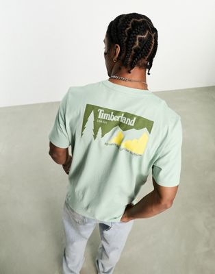 Timberland t-shirt in mountain back print in green
