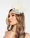 Miniatura 4 de 4