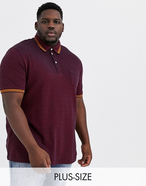 Tom Tailor Plus polo with contrast tipping in burgundy