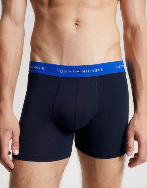 hilfiger mens briefs