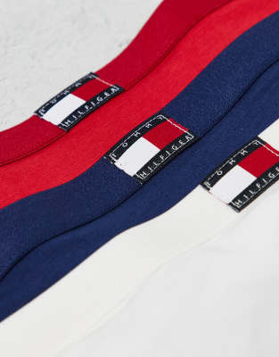 Tommy Hilfiger 3-pack Flag Detail Bikini Briefs In Multi