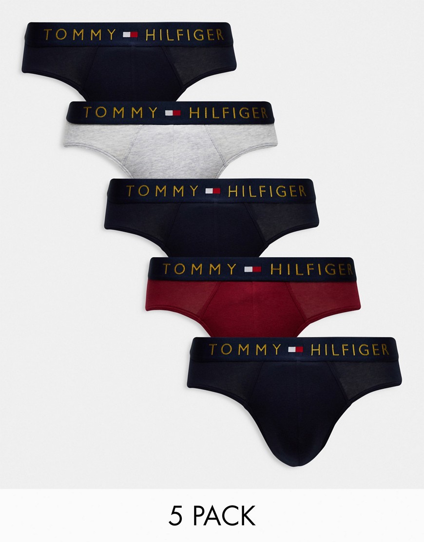 Tommy Hilfiger 5-pack briefs with navy logo waistband in multi