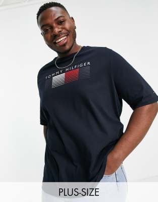 tommy hilfiger big and tall