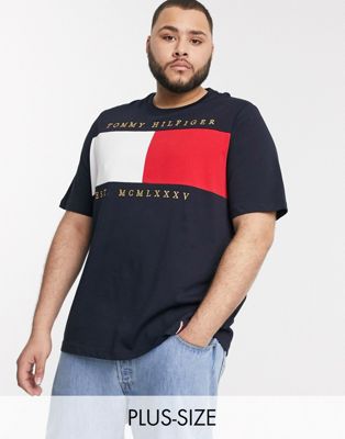 tommy hilfiger men's big and tall