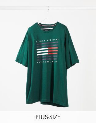 Tommy Hilfiger Big Tall Grunes T Shirt Mit Gestreiftem Flaggenlogo Evesham Nj