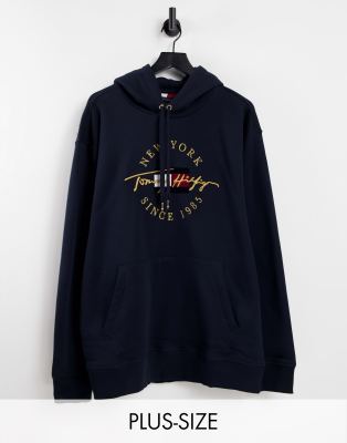 Tommy hilfiger shop icon artwork hoodie