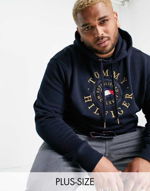 Tommy hilfiger store icon embroidered hoodie