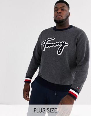 tommy hilfiger big and tall sweaters