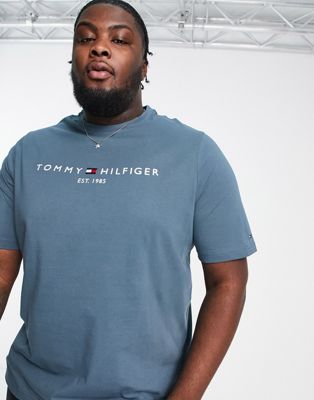 Tommy Hilfiger Big & Tall logo t-shirt in navy