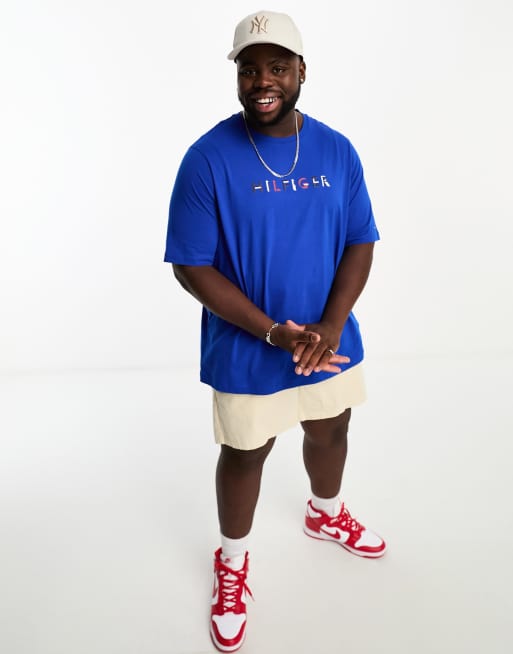 Tommy Hilfiger Big & Tall monotype logo t-shirt in blue