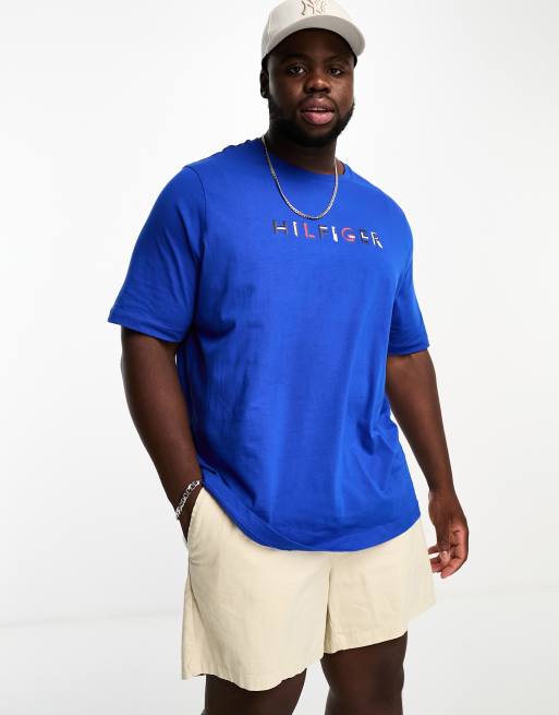 Tommy Hilfiger Big Tall monotype logo t shirt in blue ASOS