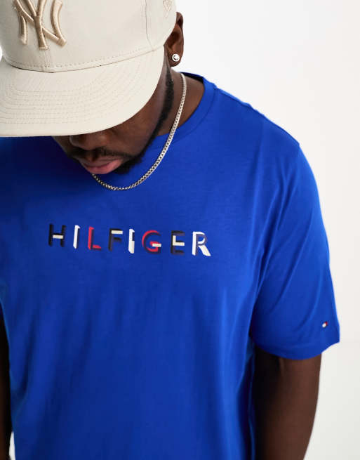 Tommy hilfiger big and tall best sale t shirts