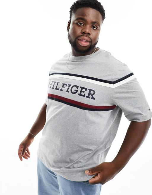 Tommy Hilfiger Big Tall monotype stripe t shirt in grey ASOS