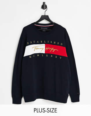 Tommy Hilfiger Big & Tall signature flag logo sweatshirt in desert sky ...