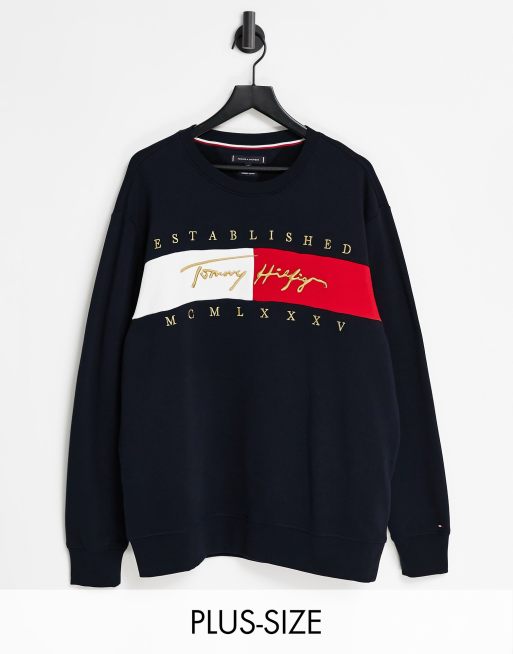 Tommy Hilfiger Big & Tall signature flag logo sweatshirt in desert sky navy  | ASOS