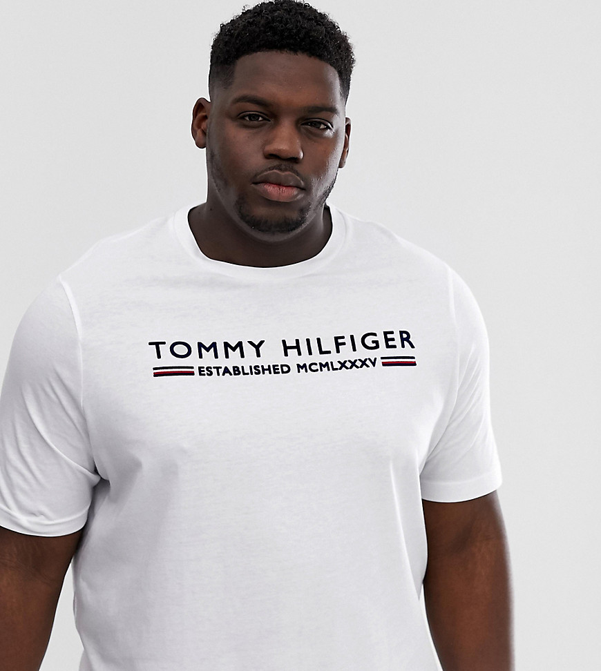 Tommy Hilfiger Big & Tall - T-shirt floccata bianca a righe con logo-Bianco