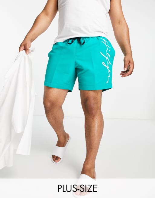 Tommy Hilfiger - Big & Tall - Zwemshort met geschreven logo in groenblauw