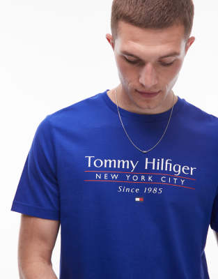 Tommy Hilfiger Center Stack Linear Logo T-shirt