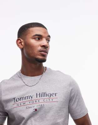 Tommy Hilfiger Center Stack Linear Logo T-shirt