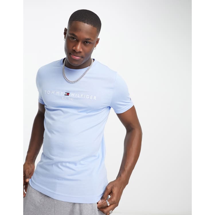 Tommy Hilfiger classic logo t-shirt in light blue