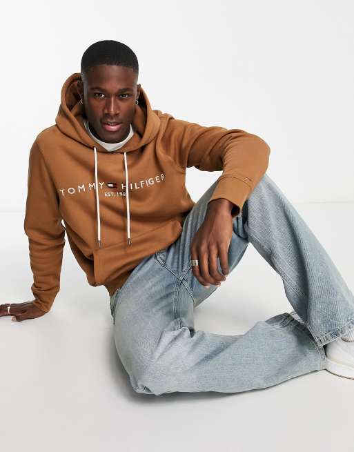 Hoodies for best sale men tommy