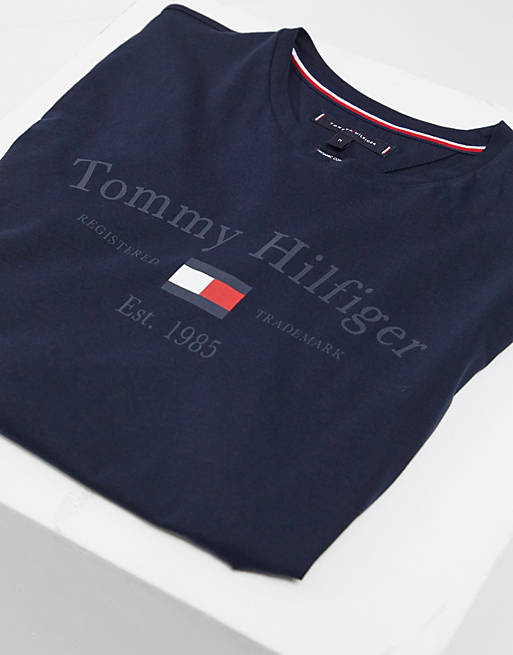 Tommy Hilfiger front central logo print t-shirt in desert sky | ASOS