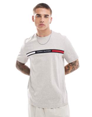 linear flag T-shirt in gray-Neutral