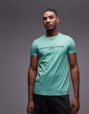 Tommy Hilfiger T-shirt For Man Mw0mw11797 Lxz In Green