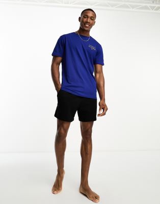 Tommy Hilfiger Tommy Hilfiger lounge logo t shirt in blue